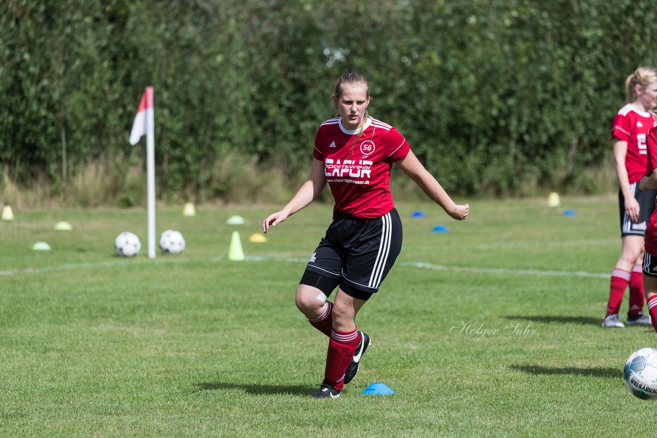 Bild 68 - Frauen SG NieBar - HSV 2 : Ergebnis: 4:3